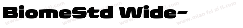 BiomeStd Wide字体转换